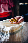 Single Origin Sampler (6)