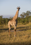 Tanzania, Mbeya - BD
